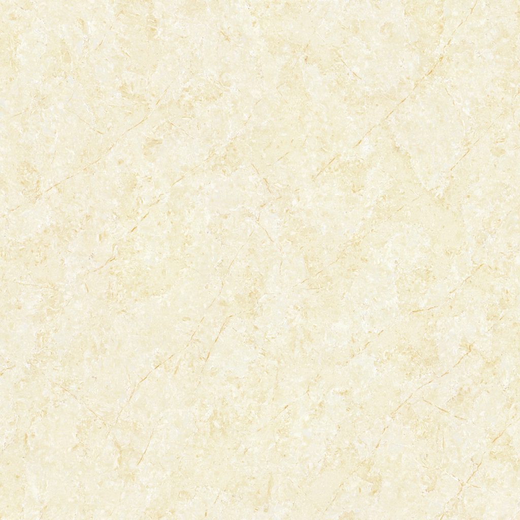 HPVL19003