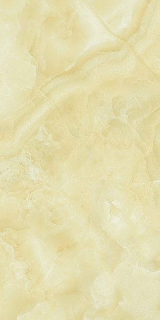 HPG63105