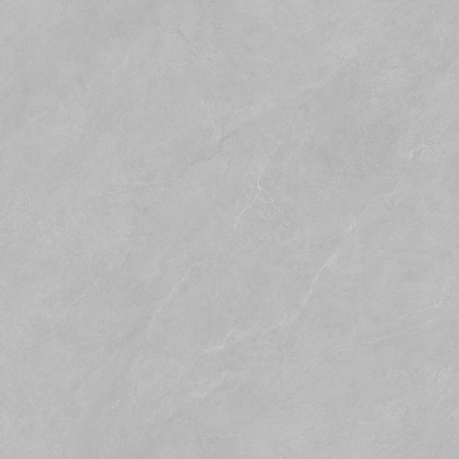 HPG80305